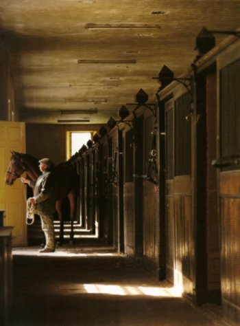 Badminton House stables